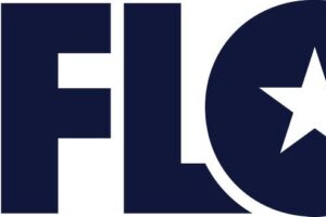 Like Flo logo