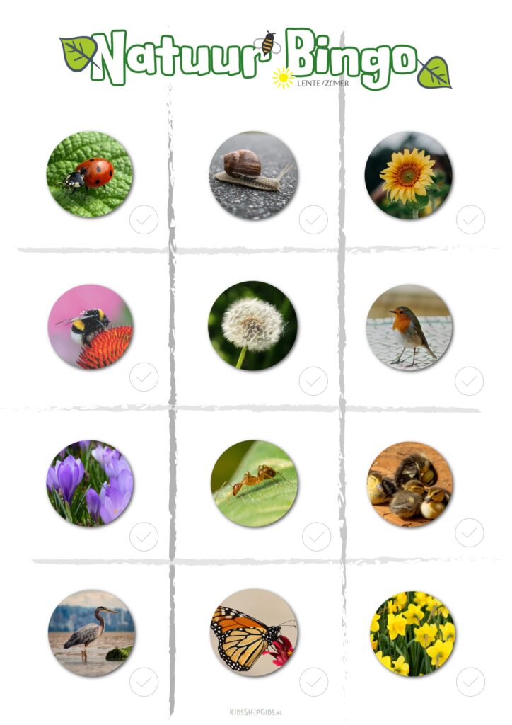 Natuur bingo voorbeeld
