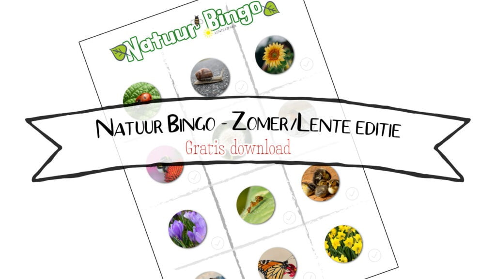 natuurbingo zomer front
