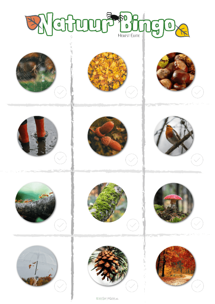 herfst natuur bingo voorbeeld