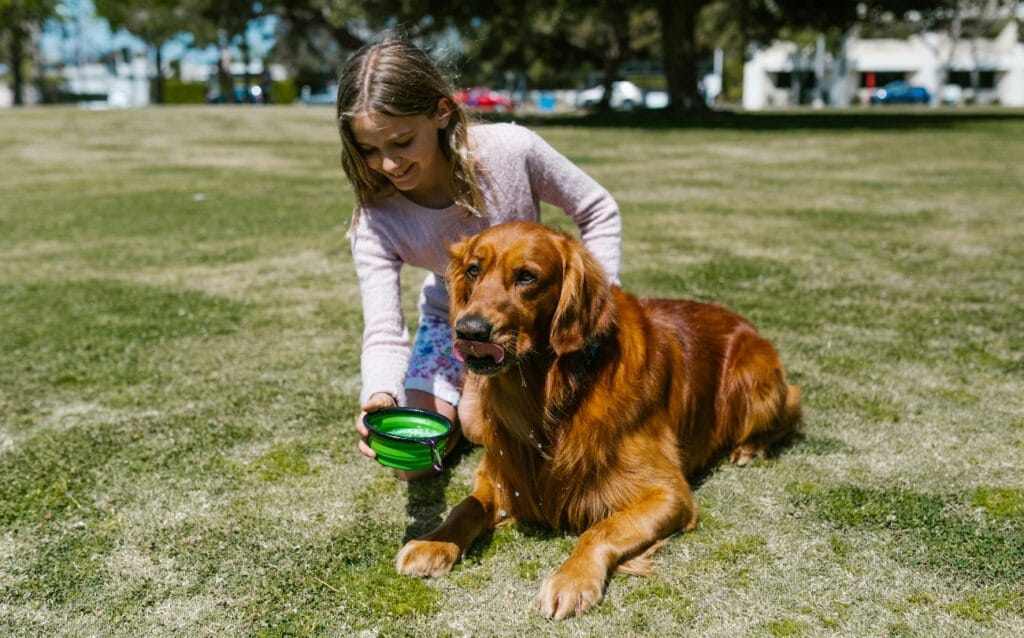 hond water geven